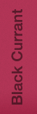 Black Currant