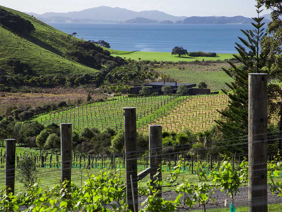 nz-new-zealand-northland