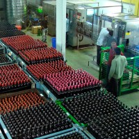 india nashik sula vineyards Indian wine india nashik sula vineyards bottling Indian wine