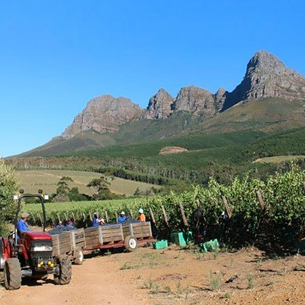 lourensford-somerset-west-stellenbosch