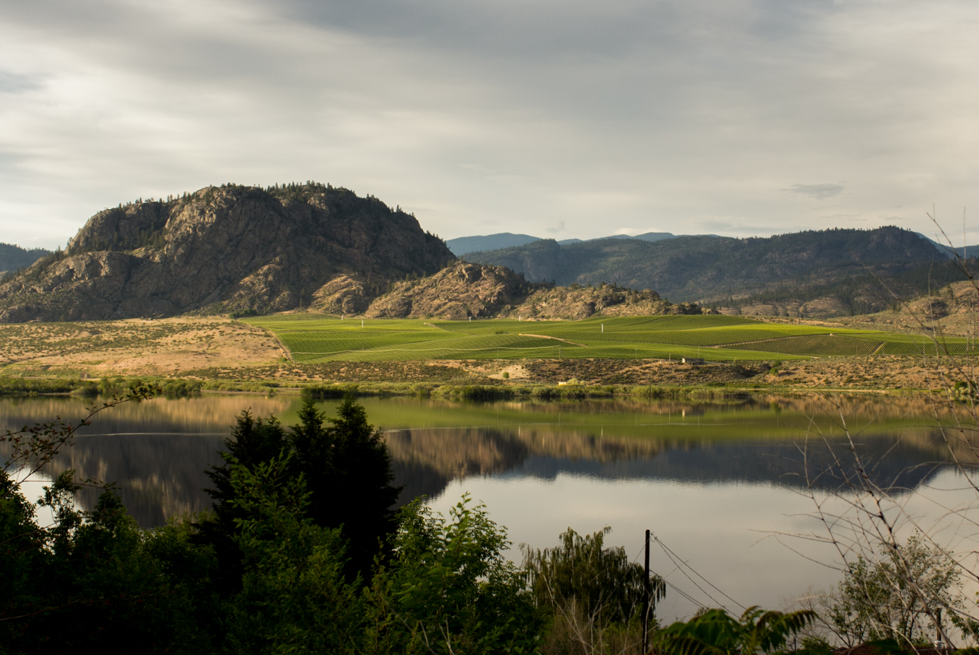 Okanagan Wine Country Vineyards in Osoyoos - Black Sage Bench - Mission Hill. By Wine Folly