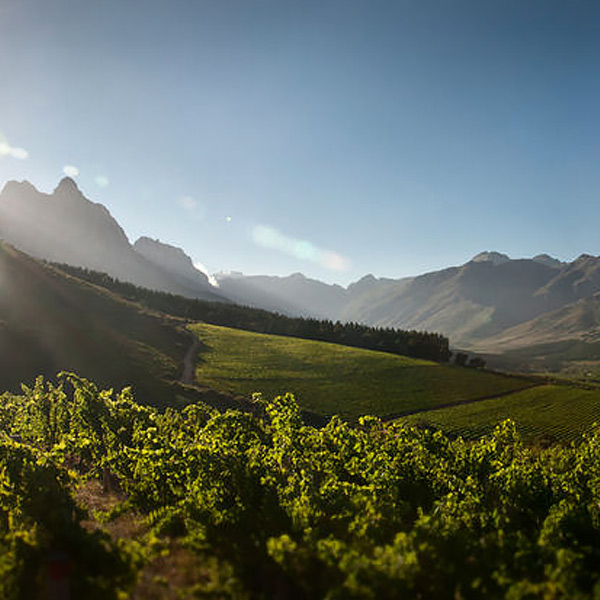 stark-conde-jonkershoek-stellenbosch
