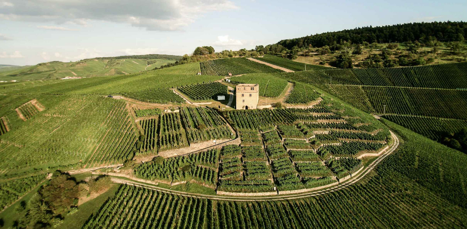 The visually stunning organic Stettener Mönchberg vineyards at Weingut Karl Haidle. Photo courtesy of Germanwines.de